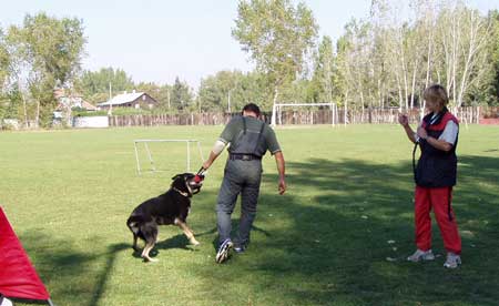 Hrdina.jpg